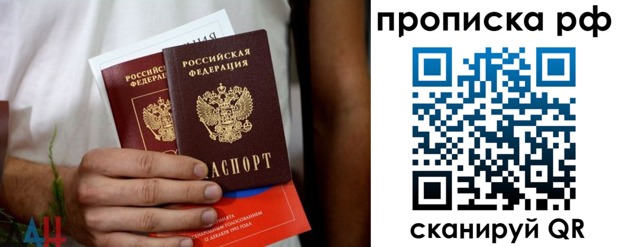 регистрация в Мурманской области